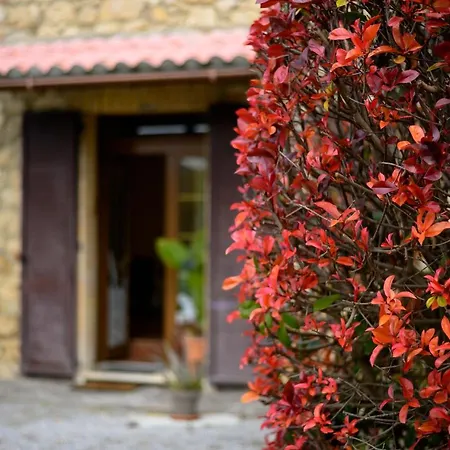 La Vecchia Stalla Del Torotosco Apartmán *